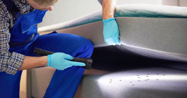 Best Pest Control for Homes  in Harvey, IL